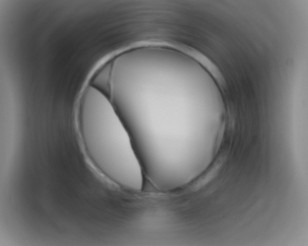 X0000114110958200910051236
