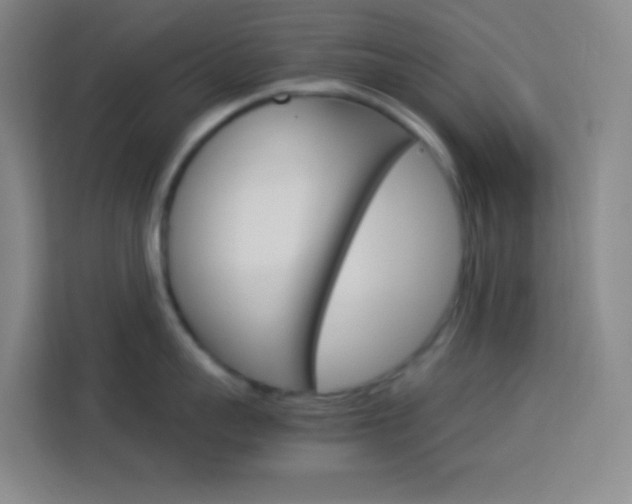 X0000114110959200910051236