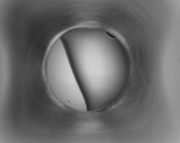 X0000114110960200910051236