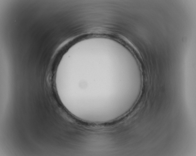 X0000114110971200910051235