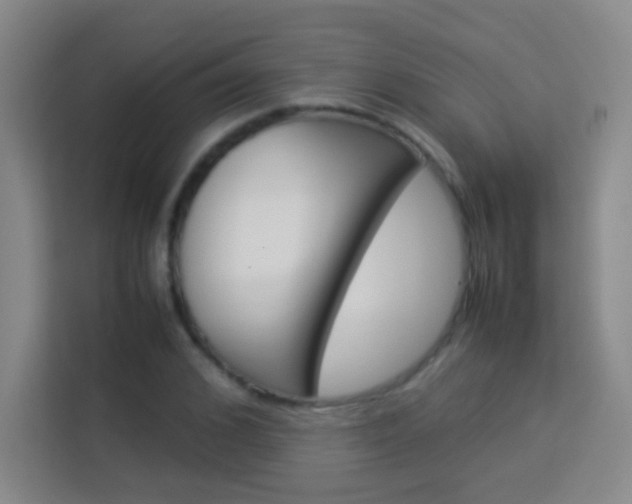 X0000114110976200910051235