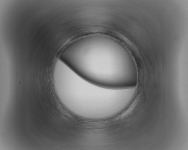 X0000114110977200910051235