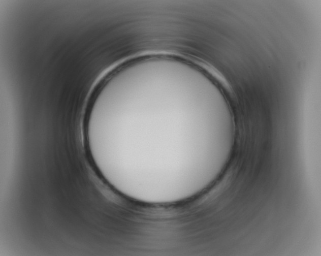 X0000114110980200910051235