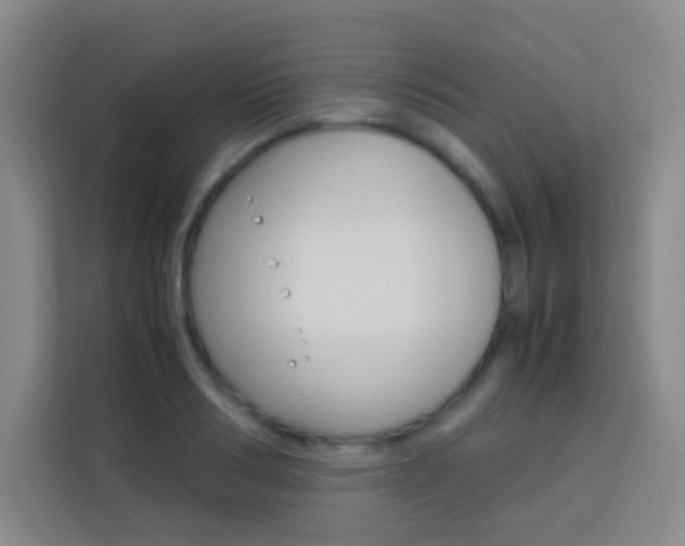 X0000114110986200910051235