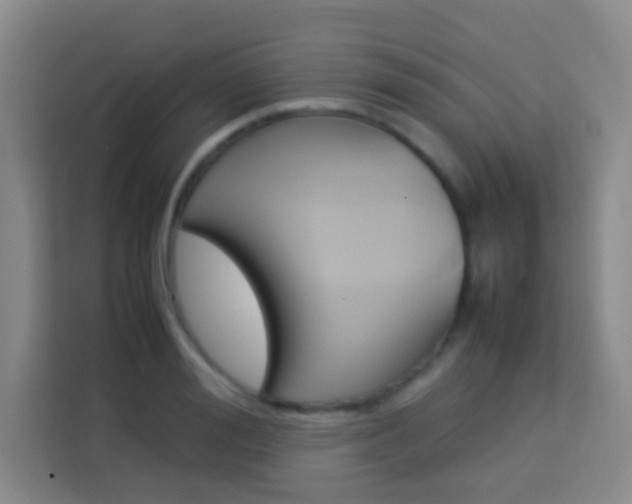 X0000114110988200910051235