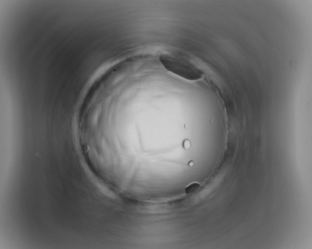 X0000114110989200910051235