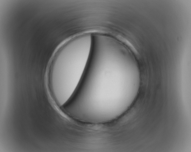 X0000114110991200910051235