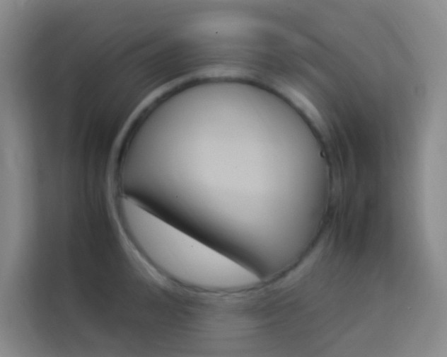 X0000114110992200910051235