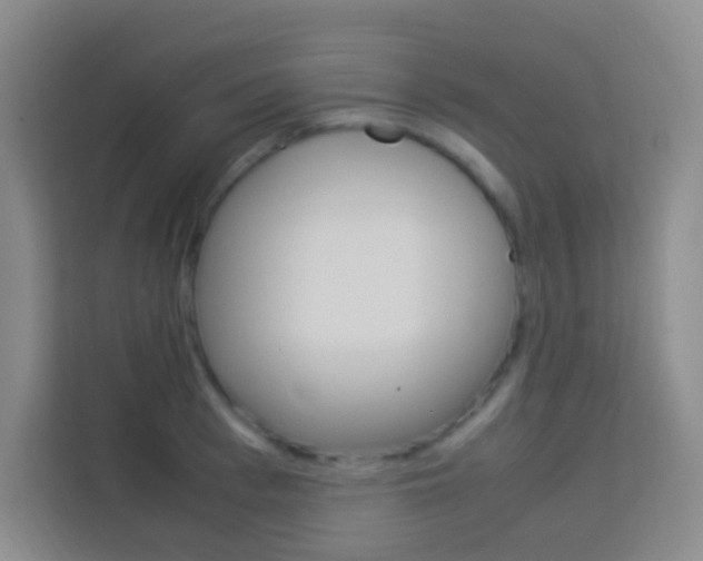 X0000114110993200910051235