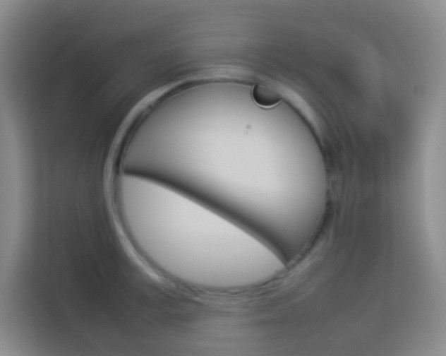X0000114110995200910051235