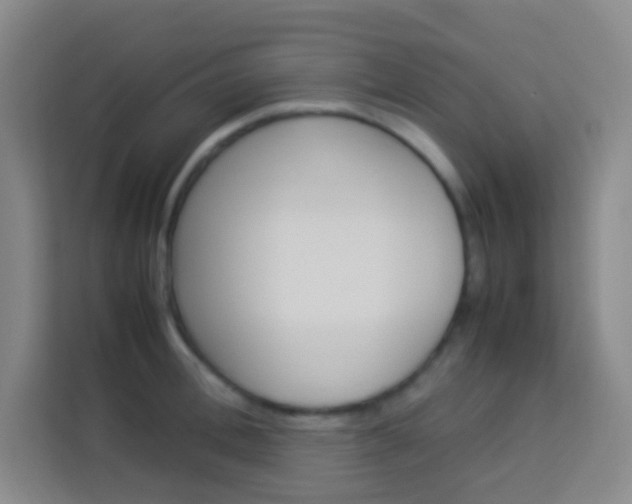 X0000114110996200910051235