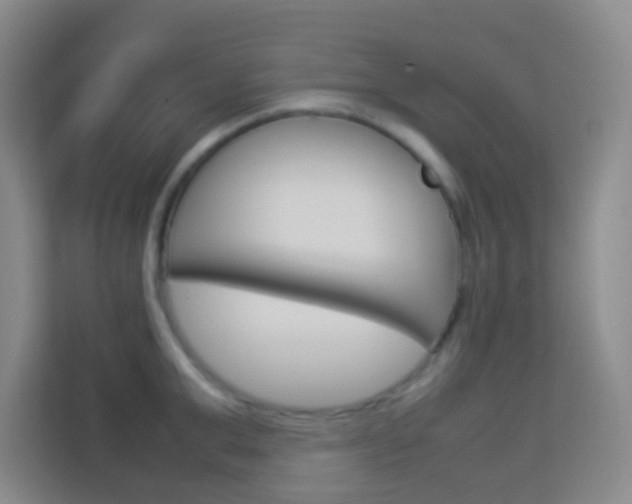X0000114110999200910051235
