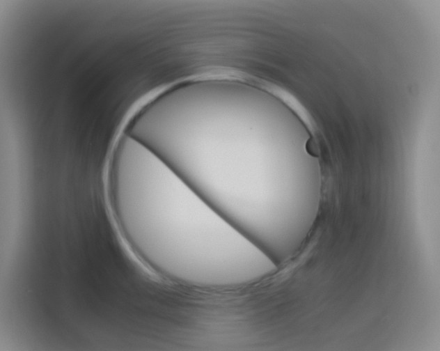 X0000114111003200910051235