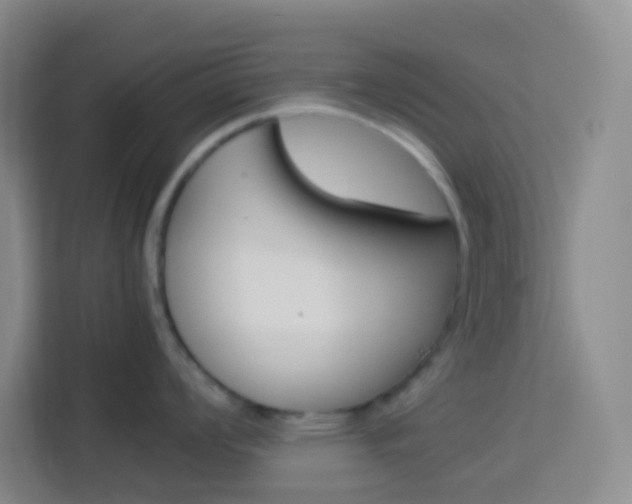 X0000114111008200910051235