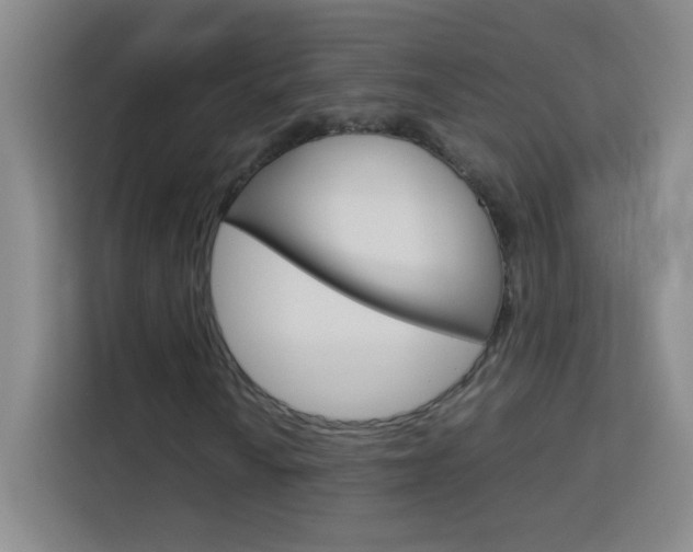 X0000114111010200910051234