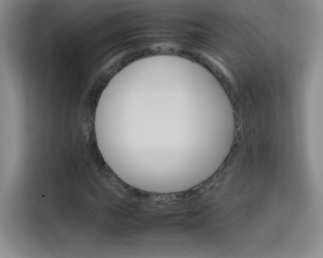 X0000114111015200910051234