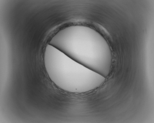 X0000114111016200910051234
