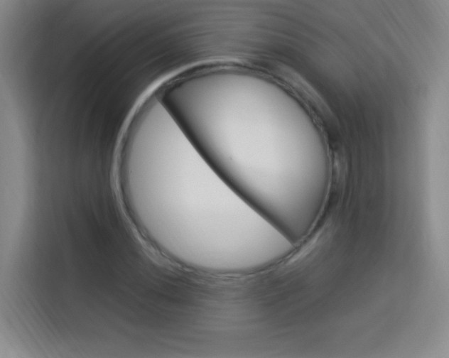 X0000114111020200910051234