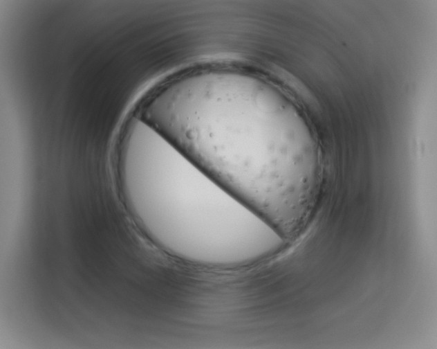 X0000114111022200910051234