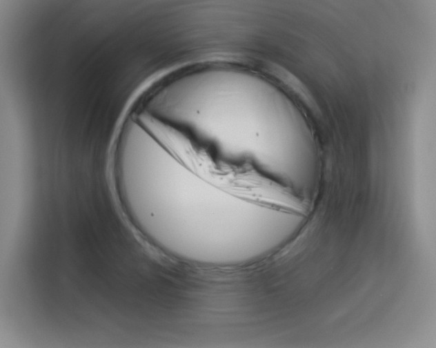 X0000114111024200910051234