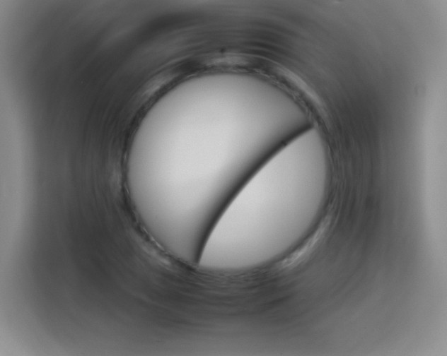 X0000114111025200910051234