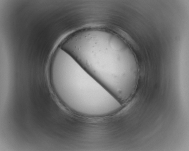 X0000114111030200910051234