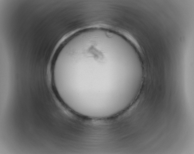 X0000114111032200910051234