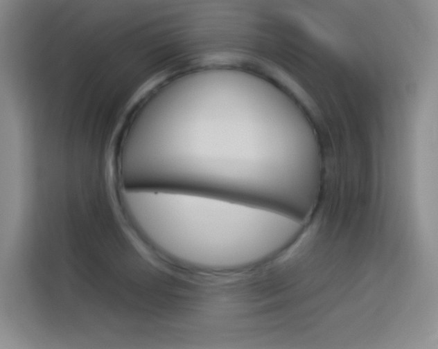 X0000114111034200910051234