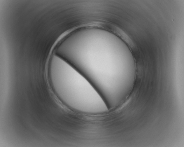 X0000114111036200910051234