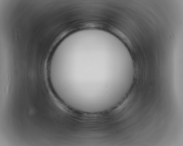 X0000114111039200910051234