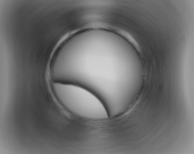 X0000114111040200910051234