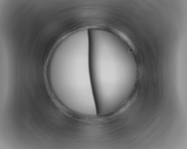 X0000114111042200910051234