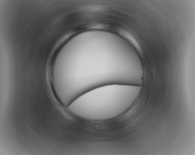 X0000114111043200910051235