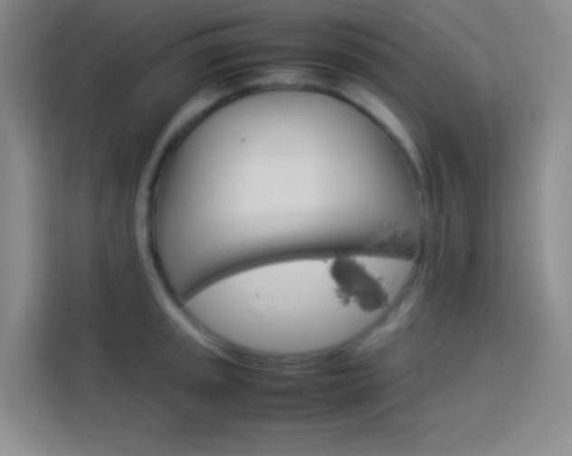 X0000114111045200910051235