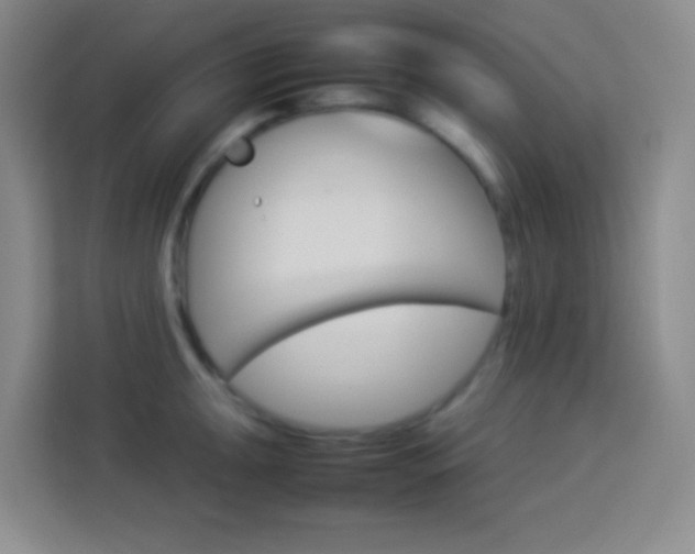 X0000114111047200910051235