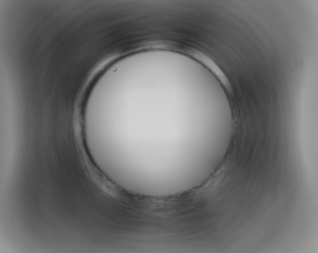 X0000114111051200910051235