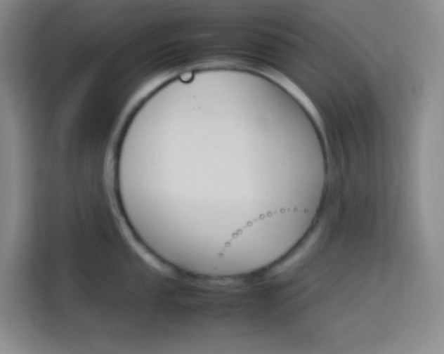 X0000114111053200910051235