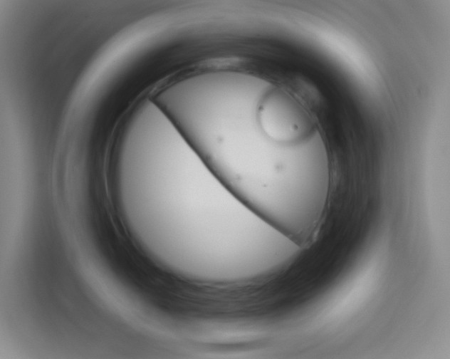 X0000114111054200910051235