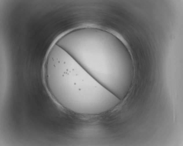 X0000114111056200910051235