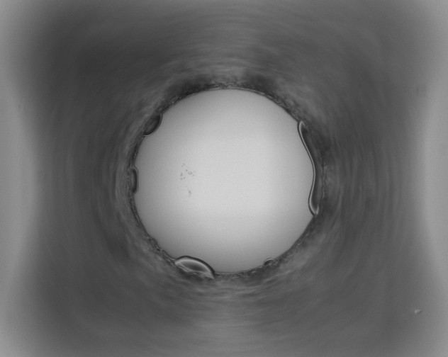 X0000114111057200910051234