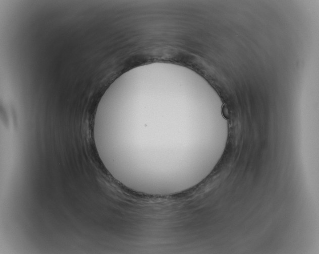 X0000114111058200910051234