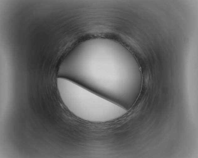 X0000114111060200910051234