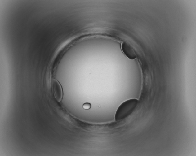 X0000114111069200910051234