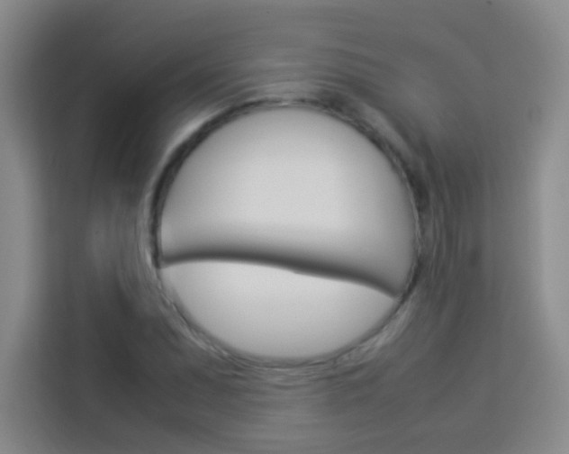 X0000114111071200910051234