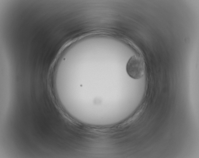 X0000114111075200910051234