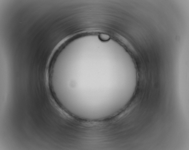 X0000114111076200910051234
