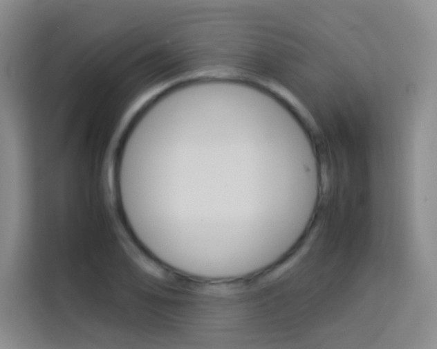 X0000114111078200910051234