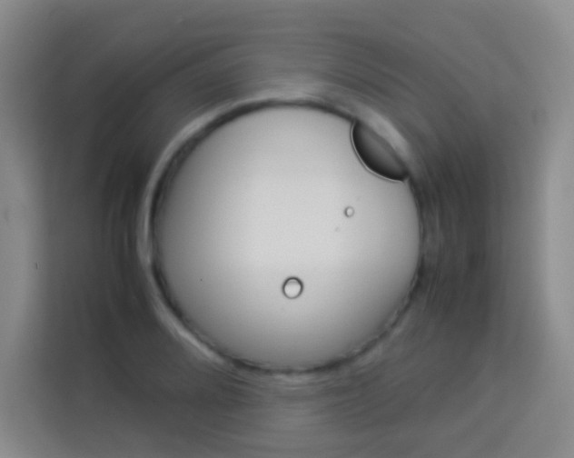 X0000114111080200910051234