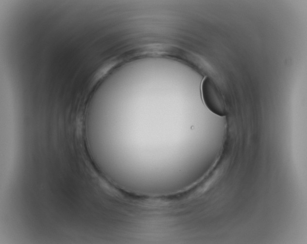 X0000114111081200910051234