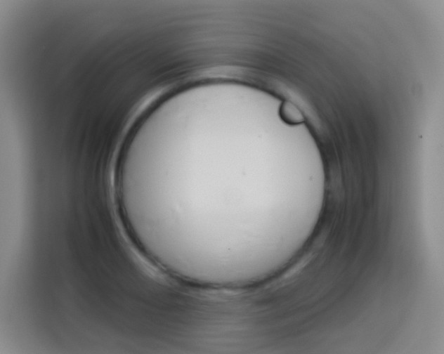 X0000114111082200910051234
